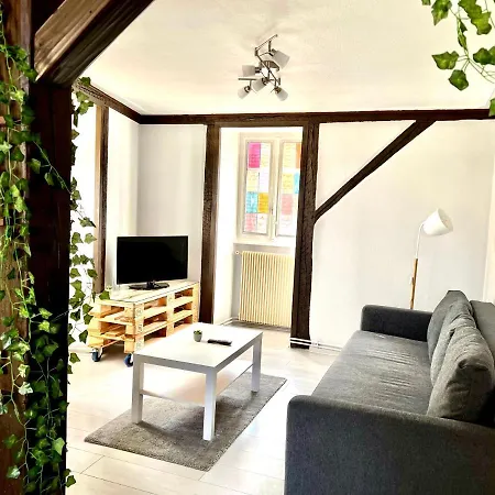 Apartament Seppala Colmar
