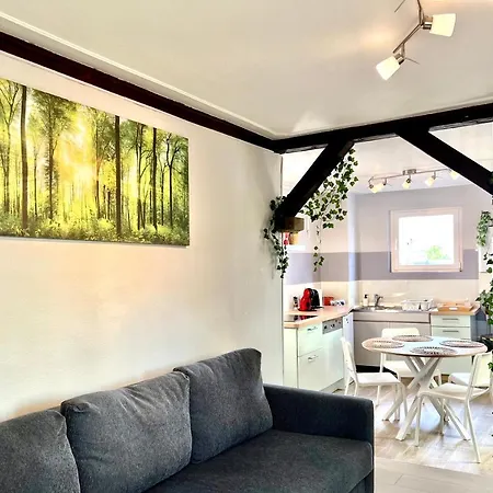 Apartament Seppala Colmar