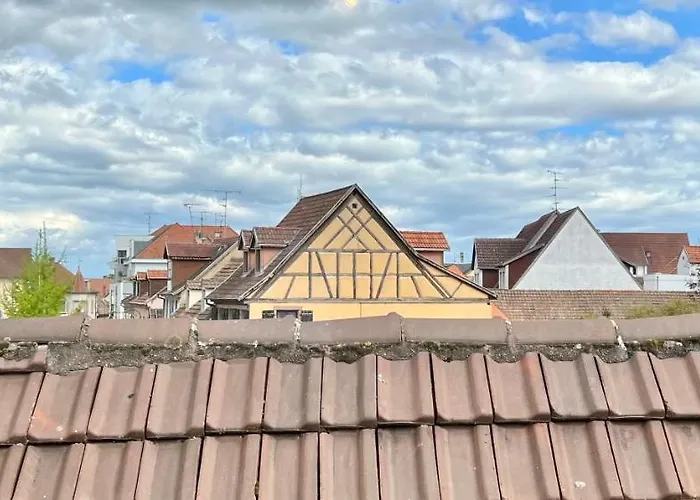 Seppala Daire Colmar