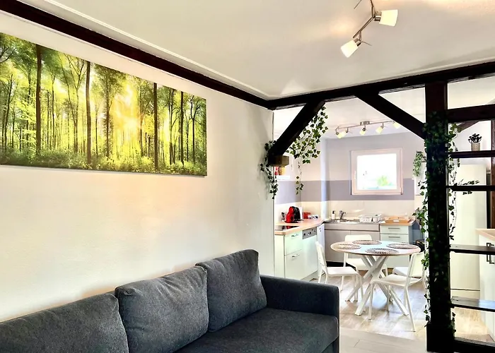 Daire Seppala Colmar